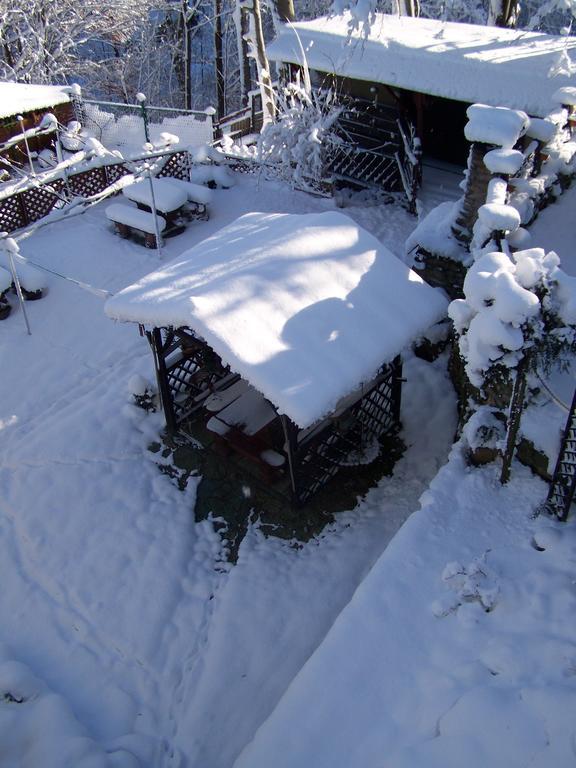 Beatka Hotell Świeradów-Zdrój Exteriör bild